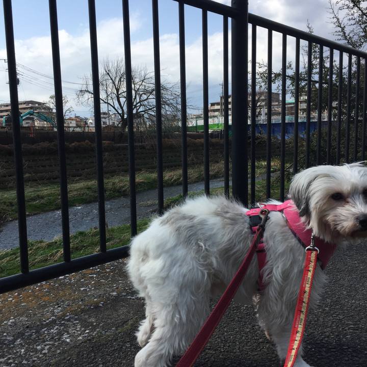 179b179d 7787 415a 82cf 750474095edc 1521674300379