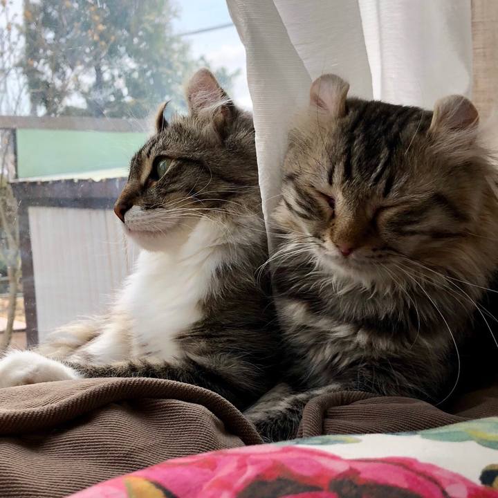 179b1b34 11c7 4502 9af1 8943d1f6de0c 1523591352723