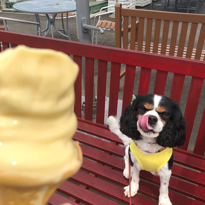 179b209c a63b 44ac 9b97 38a18917edf7 1531731499601