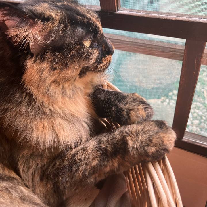 179b2ba8 978a 4de8 9745 bde711ec8391 1762492442899