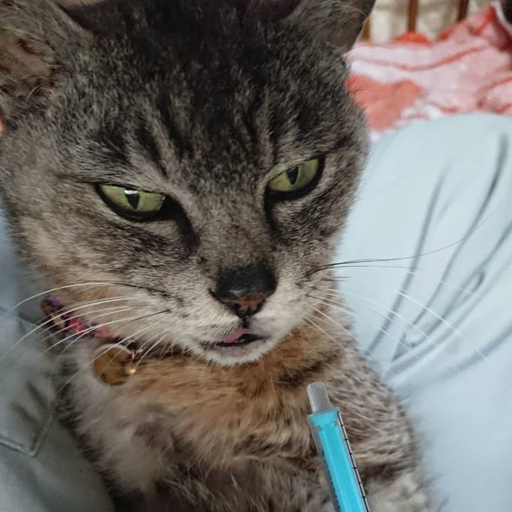 179b5ab5 0d37 411c 8e7a 9782c4128357 1593553792677