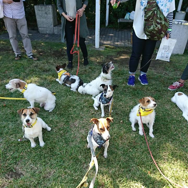 179b6135 f306 43b2 98f8 b5bb06788854 1538887202154