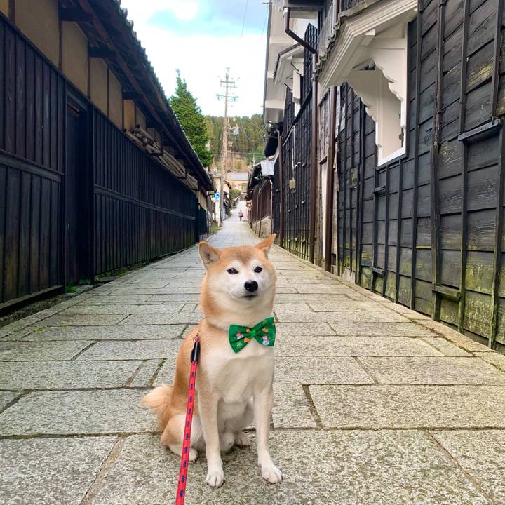 179b8ab4 de57 4021 afd4 278a339b85b8 1671014050099