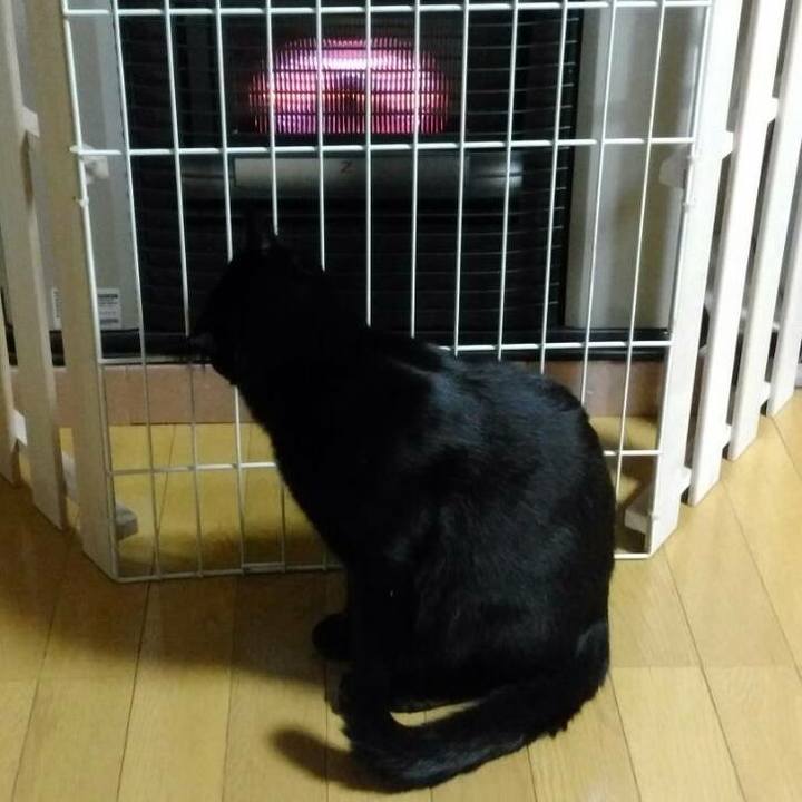 179baf37 fd62 4ffc a0a0 cae897c83c48 1508328325397