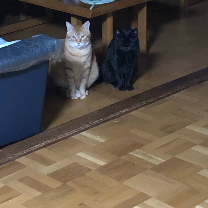 179bca37 bb4b 4ccd 82fb fb59a6d2ff46 1566135514880