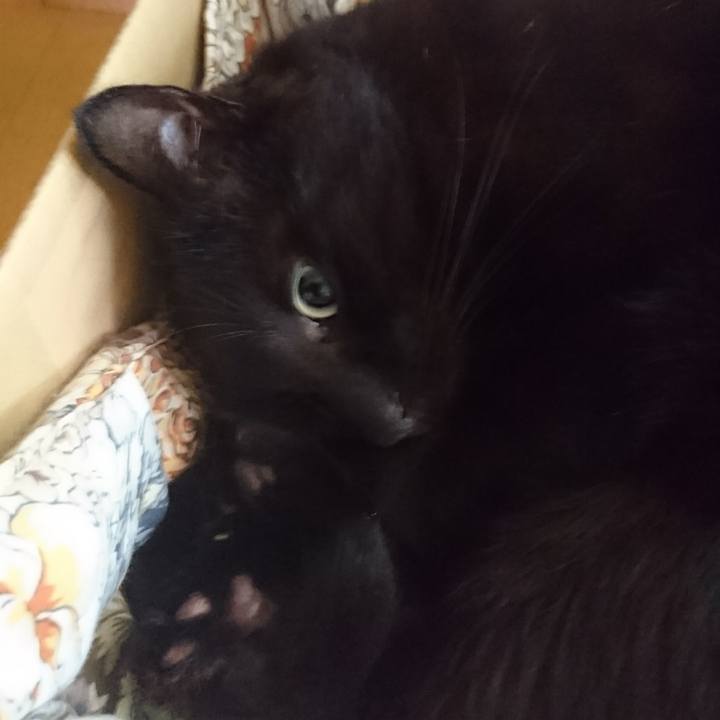 179bd845 0d19 48b1 8403 e999556cdfe0 1624146532206