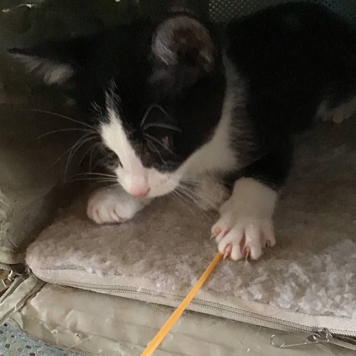 179bd9db f351 4a3a 9314 3b834414838a 1624769783299