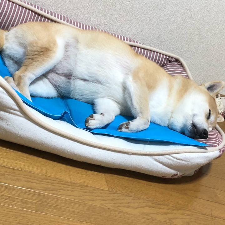 179c16a3 5672 4e75 b68c 901e39cfa380 1600648213417