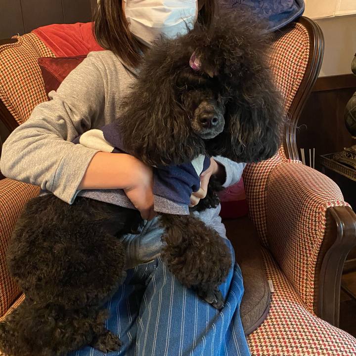 179c33ed 84b3 493b b1d4 03d1afbe5be9 1651662316563