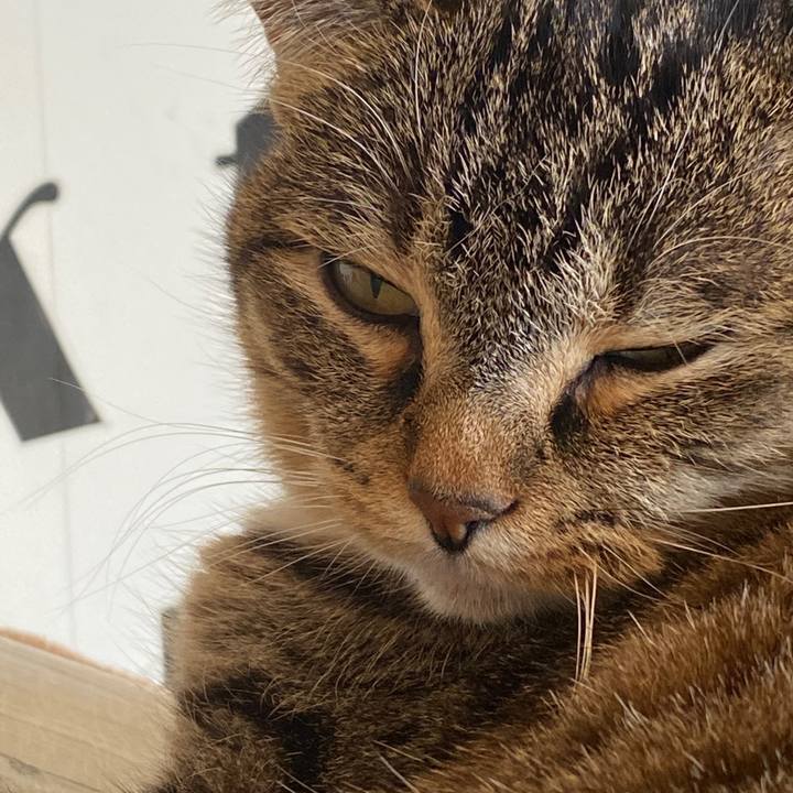 179c61d1 8657 4aa2 9d3b 7a3883570d3f 1580521021327