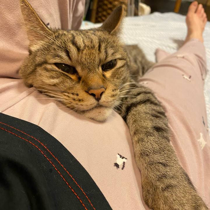 179c780e 6e1b 4809 87ea 10e7ac1482f7 1729434680541