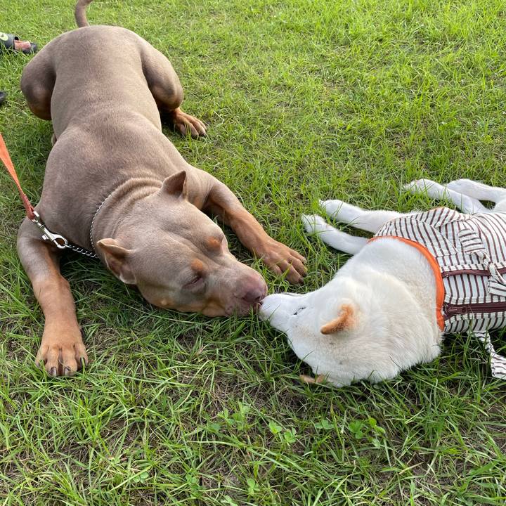 179ca935 aac4 408b 9b8c 62f285f16cc5 1656251843104