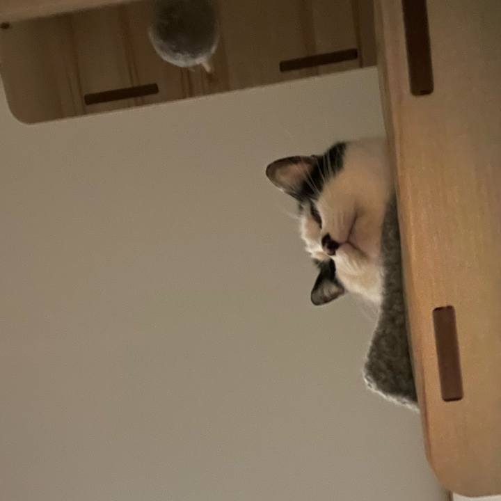 179cb81e 0d01 4d25 b240 ef2daf80e14a 1707999963762