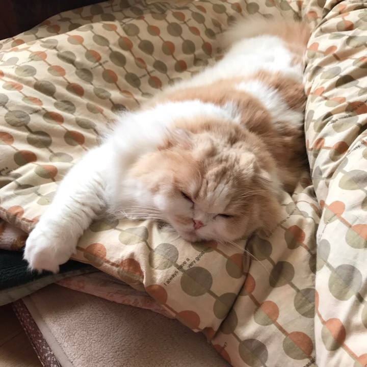 179ce73e 2cdb 4f26 888d f17346232436 1547966038449