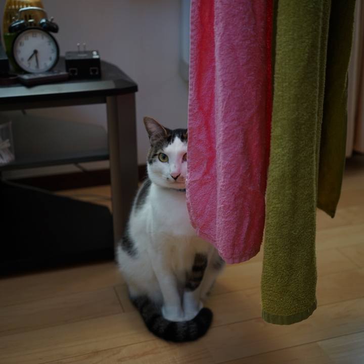 179cf22e 4337 4c95 9e7a 01418eefbc48 1511304891131