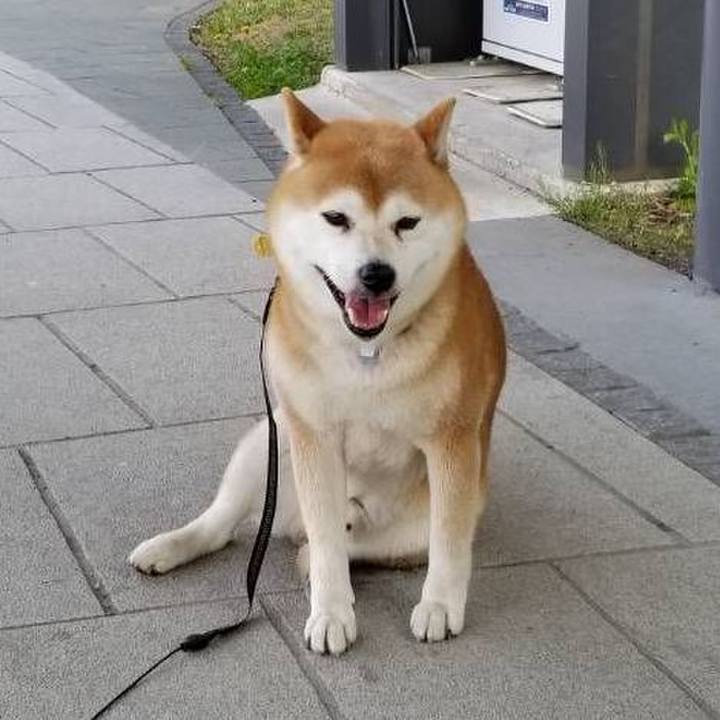 179d5c6c 7484 4bf4 891d 70b60aa2464a 1588407461003