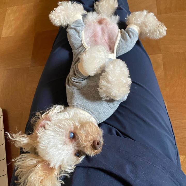 179d5cd6 bbdb 41e9 8ed5 c695ff595f59 1627004933015