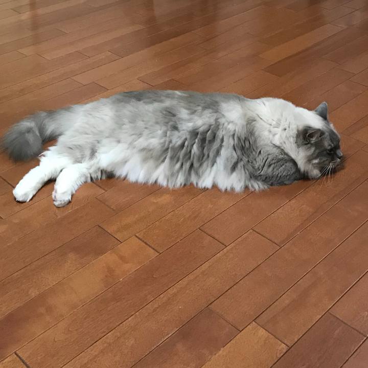 179dd054 4592 4a0d 97cc de38f5aa2913 1510407285995