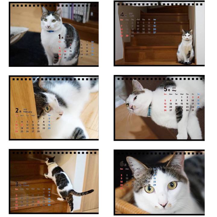 179dd8eb 105b 49f7 8e72 f74df2a2b461 1540637184097