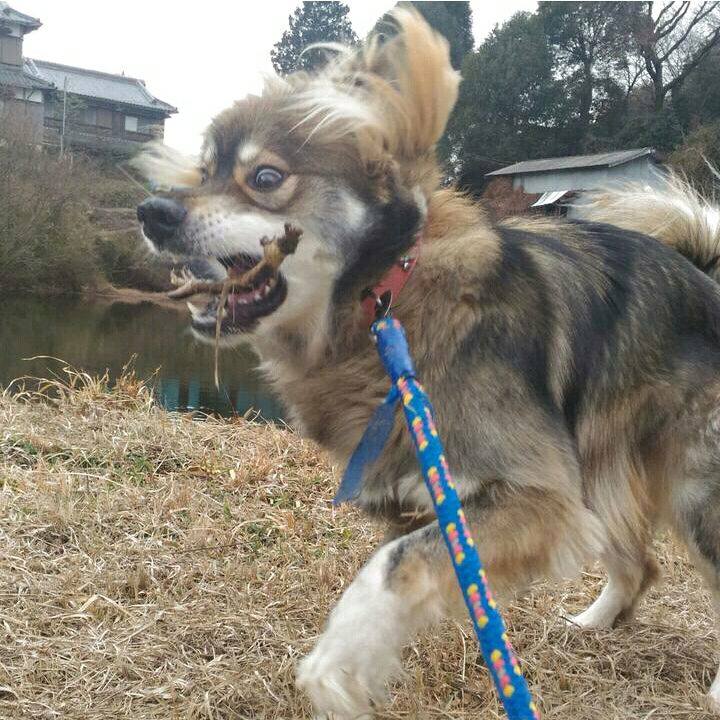 179de1ec 187a 48e7 a915 8d34b273c6a6 1567411853873