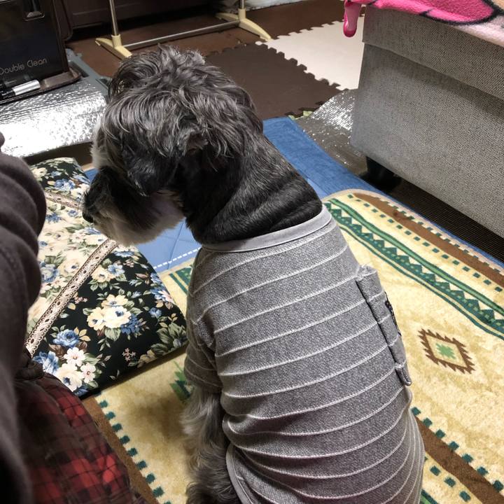 179de62a 3701 451c b062 822843b946cb 1668169802548