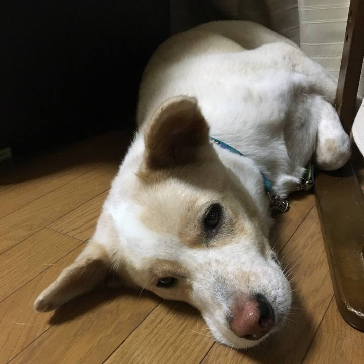 179e22d4 02e6 4ae6 a700 785affaeb151 1530802609664