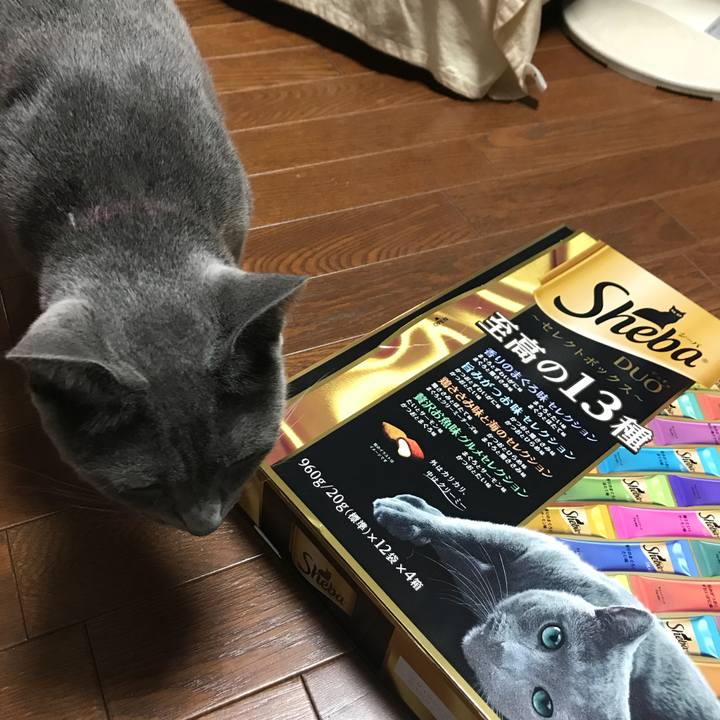 179e3e3a 2909 4e07 8c1a 61a8af57e040 1533807231998