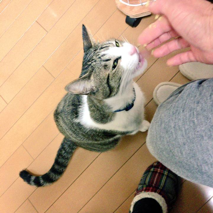 179e48a9 e2bc 4b9e 9400 f87b4ca5c414 1512791865528