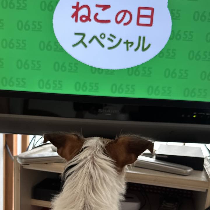 179e5d74 3d4c 4e02 a282 9e71000318eb 1755814893815