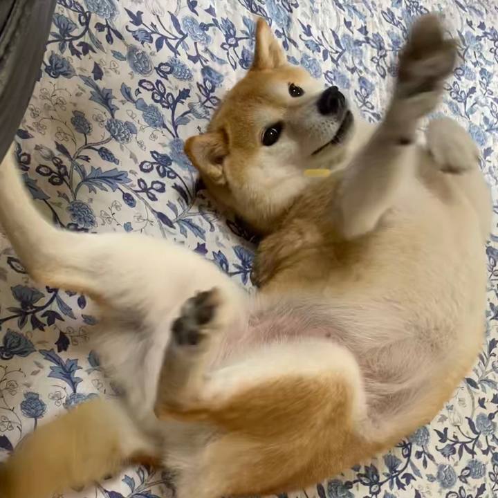 179e9571 c1b2 447c a4a8 64ca0f08ab2f 1621953711645