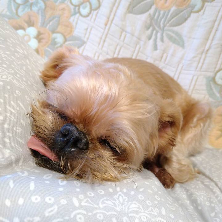 179eb1d6 6904 46f8 b2eb 48da3b80d8e4 1633855375179