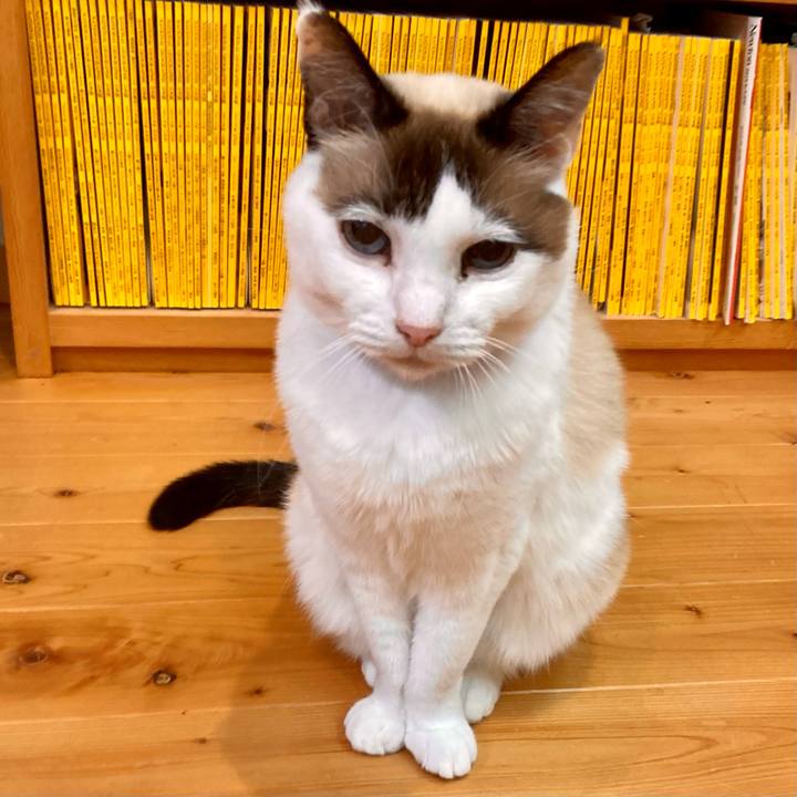 179ebc19 a161 4d23 a811 e731bfdf1cf1 1672456482908