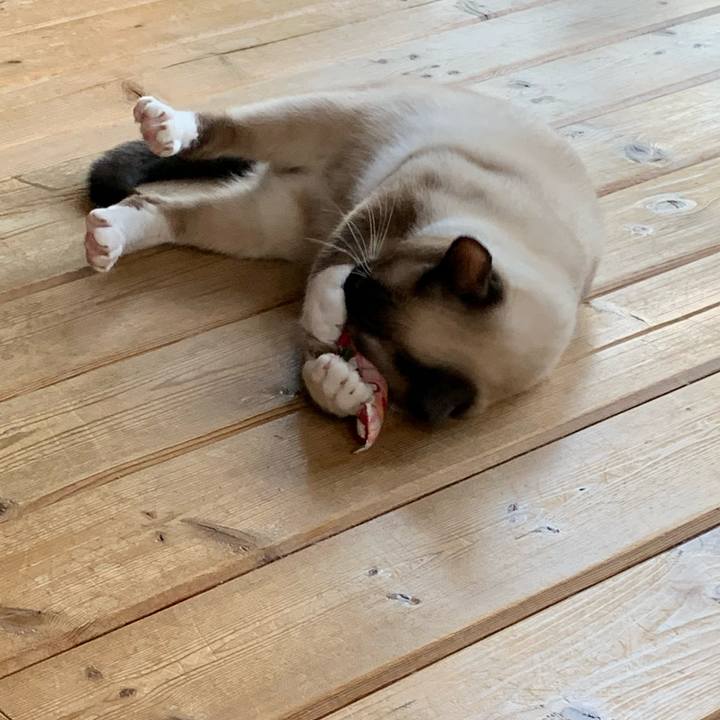 179ef9d2 124f 4778 8d73 a072e452d15b 1692882143948