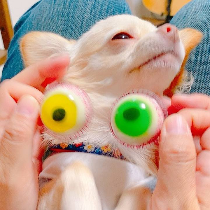 179eff06 c4a7 4f99 b055 e7cc34bf55fc 1634439548169