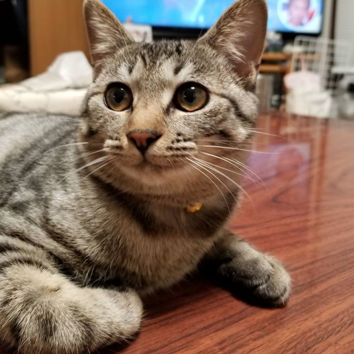 179f0bee e550 4622 a309 225d9ca5bd2f 1672369360319