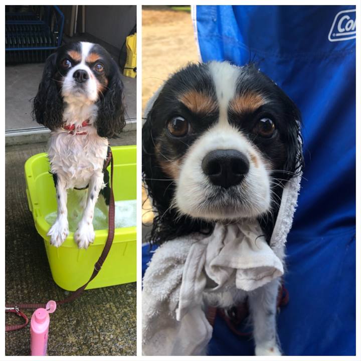 179f181b 4fe6 4017 aff1 07cbad3b9bdb 1563590762696