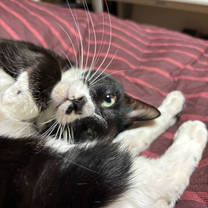 179f8fb2 1ef4 4fdc 98bf a13973eda798 1774147246578