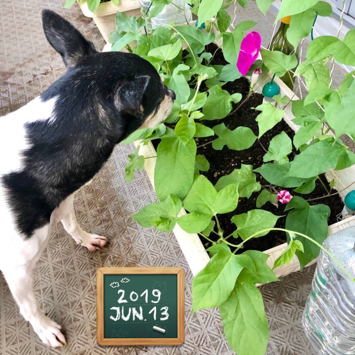 179fb34d feb5 4a53 b654 c38f923eccc1 1560381383675