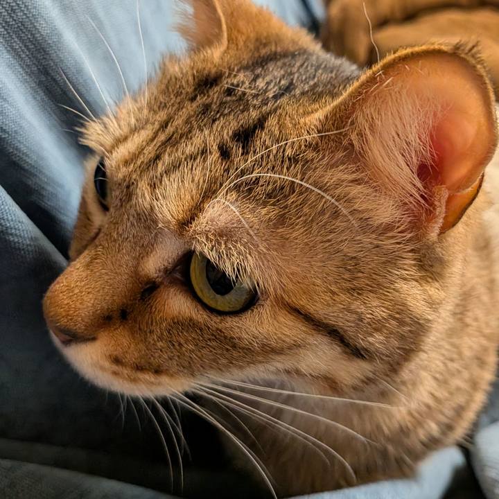 179ffac0 977c 47c6 ba9e dc73bf7d6495 1771190362420