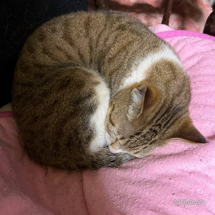 17a01bc3 7dfd 4e24 b850 ae31a26e3aba 1743544647563