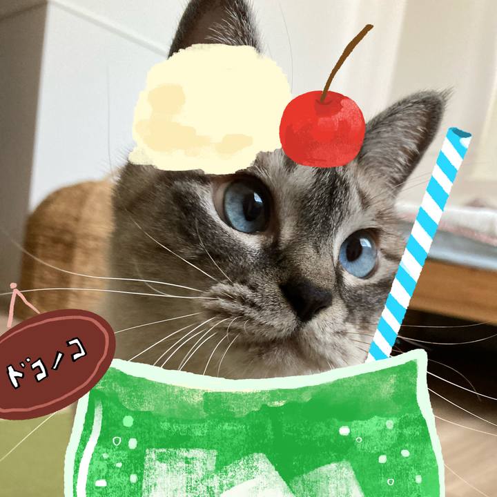 17a0372b 19d7 4e61 b96a a732145663b4 1755157929681