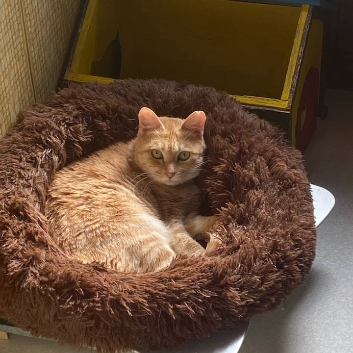 17a06336 e1e3 4fd2 baf6 efffc654f5e1 1732077939247