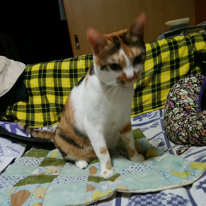 17a08f82 62d0 4786 9cbf df720ea50ff1 1539943585439