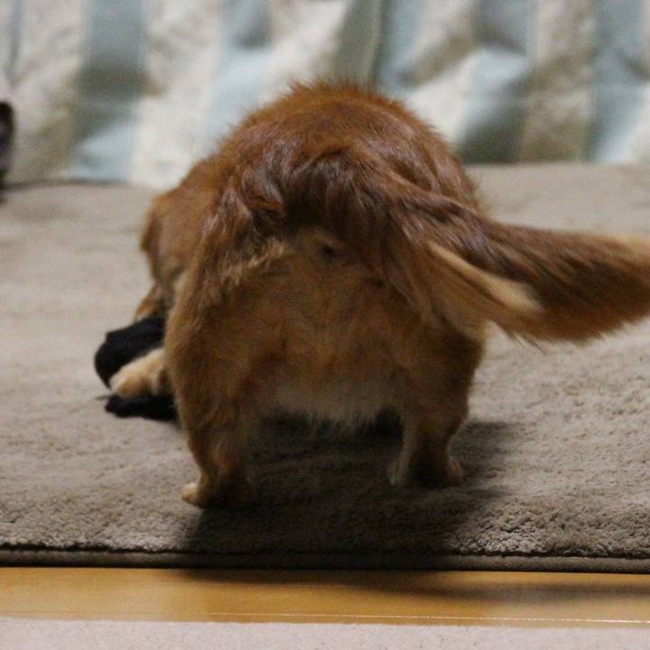 17a0c56d ced9 416f a821 53beab7a9be0 1613752217885