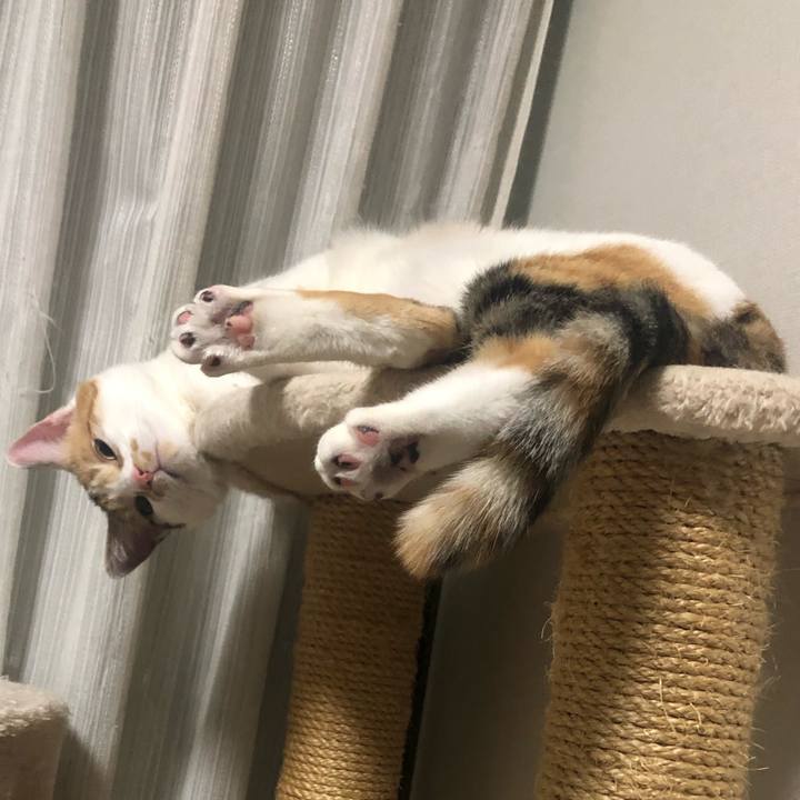 17a0ebd8 1bdd 438f 994b 57912935e714 1588000002763