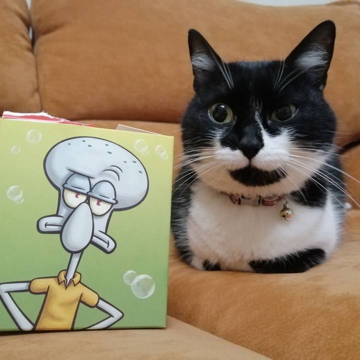 17a12a5f 352d 4aeb a630 de0bcd42a7c2 1618116866581