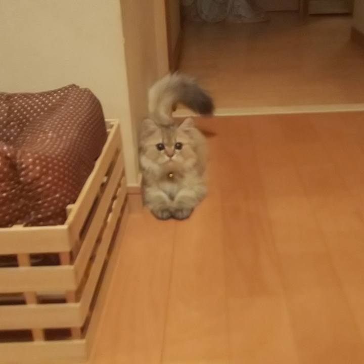 17a158d7 89ba 4e23 98f6 452358815d09 1558007504965