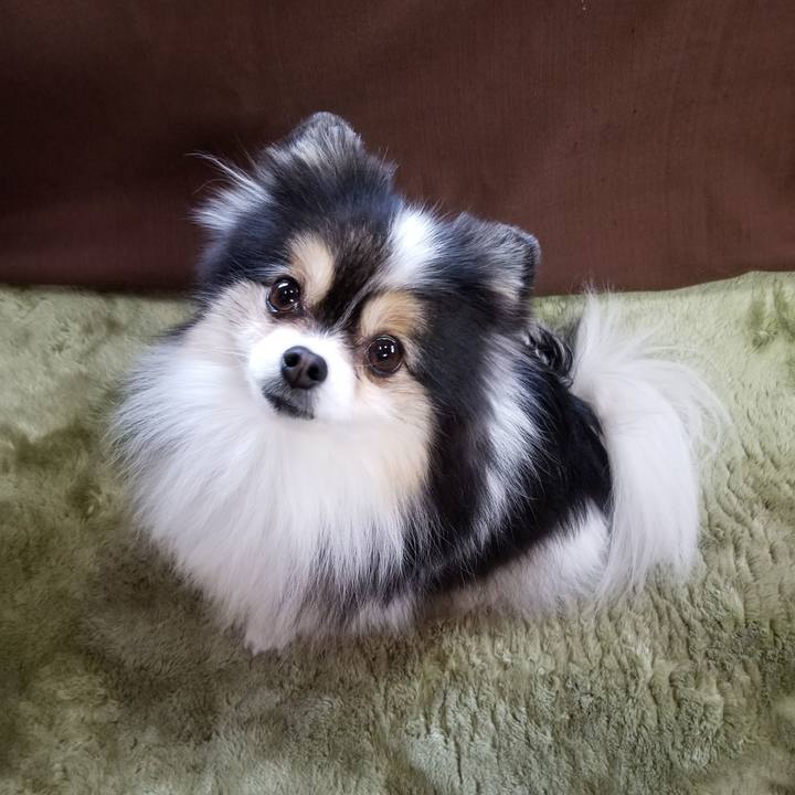 17a16963 3283 41ce a84c 993754c0ea82 1582585583201