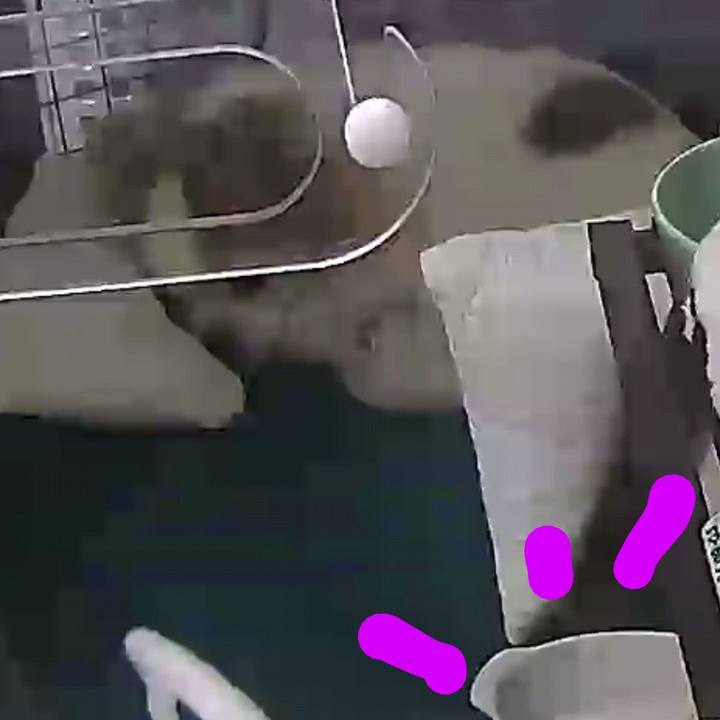 17a17132 0eb3 4130 ac62 00e9263cc180 1681776740862