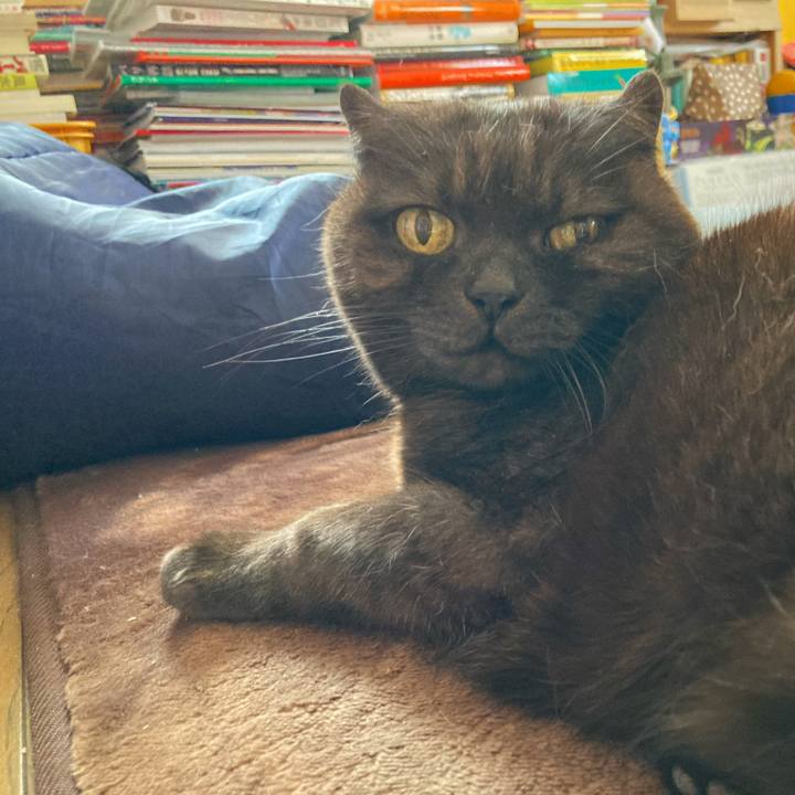 17a1a858 14a9 4ab7 8cce b9666f40ebcf 1615096253659